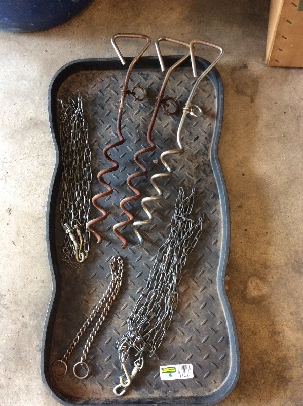 lot 11493 image: Boot Tray and Dog Tie Outs