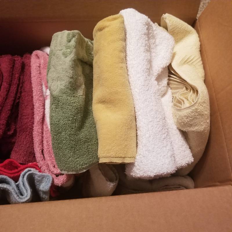 lot 11644 image: Box of Towels