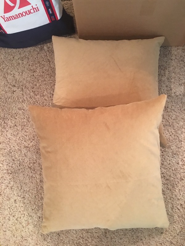 lot 11692 image: Decorative Pillows