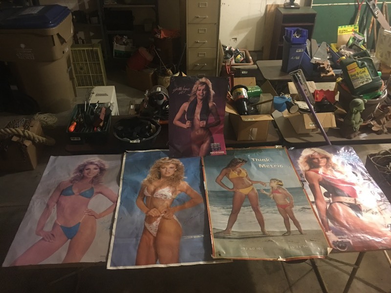 lot 11720 image: 70s Pinup Girls