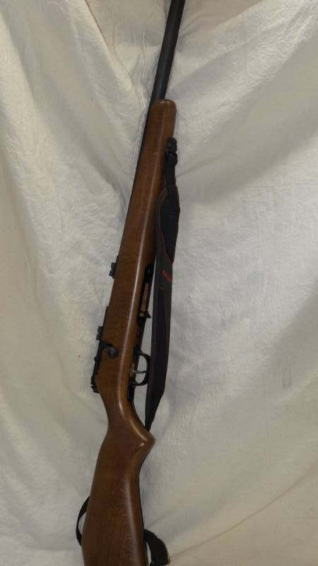 lot 4118 image: 17HMR  Savage - FUN Rifle